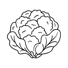 cauliflower icon, cauliflower vector illustration-simple illustration of cauliflower, perfect for cauliflower logos and icons