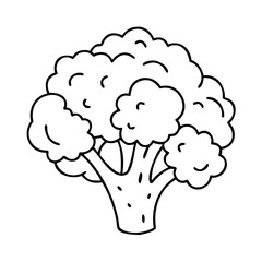 broccoli icon, broccoli vector illustration-simple illustration of broccoli, perfect for broccoli logos and icons