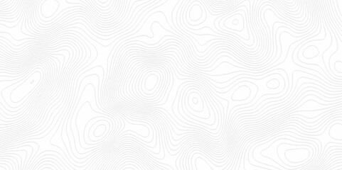 White topography topology vector white background fresh contour map texture. white seamless pattern Abstract background with a wave Topography and geography map grid abstract backdrop.