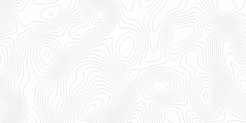 White topography topology vector white background fresh contour map texture. white seamless pattern Abstract background with a wave Topography and geography map grid abstract backdrop.