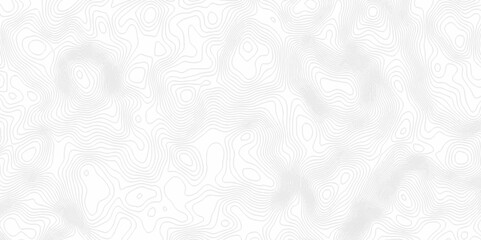 White topography topology vector white background fresh contour map texture. white seamless pattern Abstract background with a wave Topography and geography map grid abstract backdrop.