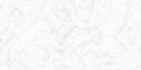 White topography topology vector white background fresh contour map texture. white seamless pattern Abstract background with a wave Topography and geography map grid abstract backdrop.