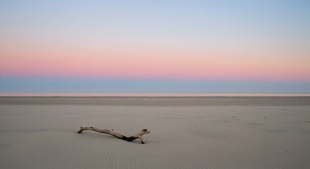 Naklejka premium Peaceful Sunset Over Wide Sandy Beach with Driftwood