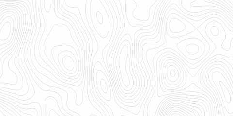White topography topology vector white background fresh contour map texture. white seamless pattern Abstract background with a wave Topography and geography map grid abstract backdrop.