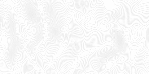White topography topology vector white background fresh contour map texture. white seamless pattern Abstract background with a wave Topography and geography map grid abstract backdrop.