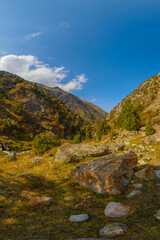 Mountain valley landscape with scattered rocks, sparse vegetation, and evergreen trees under a blue sky with clouds.