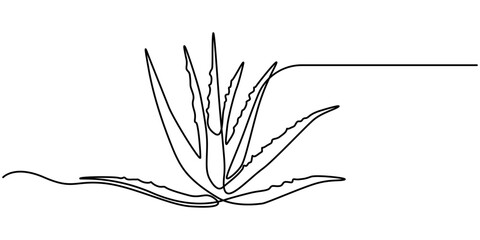 Single continuous line drawing of healthy organic green aloe vera for farm identity. Fresh tropical succulent plant concept for agricultural icon. One line draw graphic design vector illustration.  © SREEPOLOK