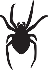 black spider isolated on white background