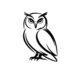 Fototapeta premium owl on white background