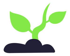 A green plant sprouting from soil symbolizes growth and new beginnings.