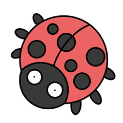 ladybird vector illustration