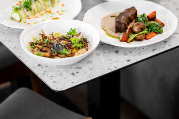 A close-up of three gourmet dishes on a restaurant table: vegetable roll, mushroom risotto, and beef with vegetables. Presented on a speckled gray table, modern and elegant.