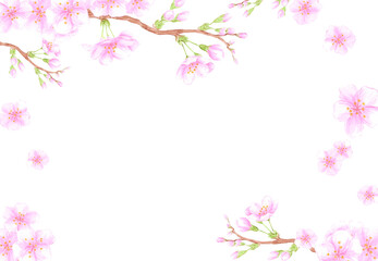 Hand drawn watercolor cherry blossom branch frame border. Illustration of flowers isolated on white background. Can be used for business card, scrapbook and other printed products.