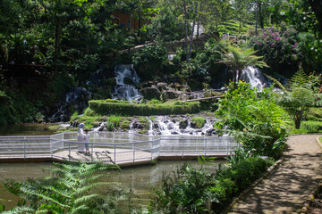 Fototapeta premium A view of a tiered waterfall flowing into a pool amidst lush tropical gardens with green trees and exotic plants.