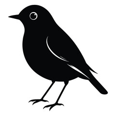 Robin bird silhouette.