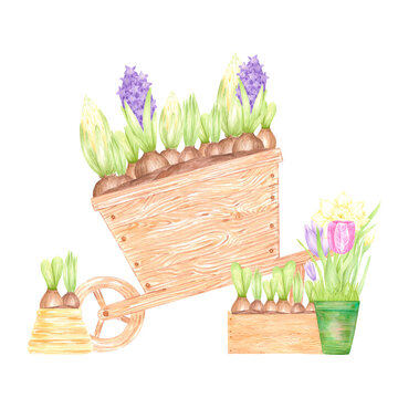 watercolor wooden wheelbarrow spring flowers clip art preview