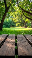Park Picnic Table View