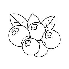 blueberries icon, blueberries vector illustration-simple illustration of blueberries, perfect for blueberries logos and icons