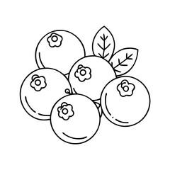 blueberries icon, blueberries vector illustration-simple illustration of blueberries, perfect for blueberries logos and icons