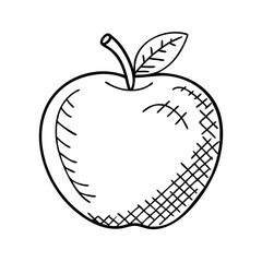 apple icon, apple vector illustration-simple illustration of apple, perfect for apple logos and icons