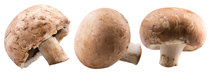 set of champignons isolated on a white background