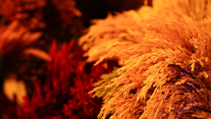 Pictures of tourist attractions in Thailand, Chiang Khan Walking Street