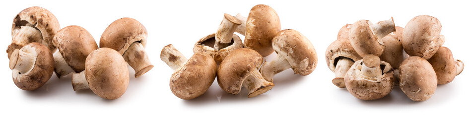 set of champignons isolated on a white background