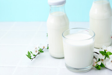 Fresh milk and blossoms on white table against light blue background. Space for text
