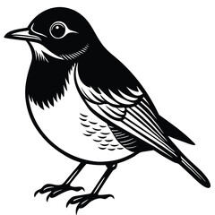 American Robin illustration flat vector design