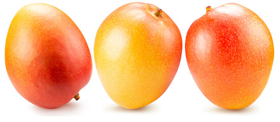 set of mango isolated on a white background