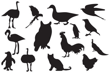 Bird silhouettes big collection designs