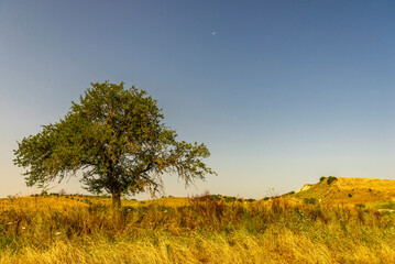 rural countryside landscape during a sunny summer day inside Val d'Agri, Basilicata