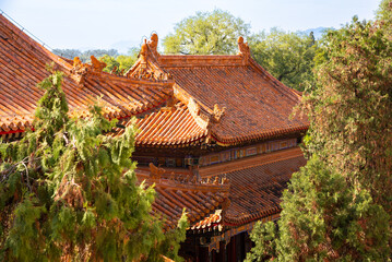 Traditional roof at Summer Palace in Beijing, China. Famous landmark