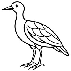 Black and White Line Art Illustration of a Bird.