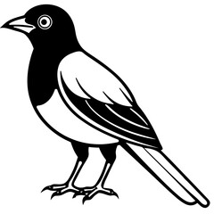 Black and White Line Art Illustration of a Bird.