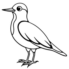 Black and White Line Art Illustration of a Bird.