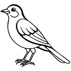 Black and White Line Art Illustration of a Bird.