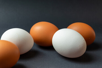Brown and white egg - black background