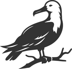 Albatross silhouette bird vector