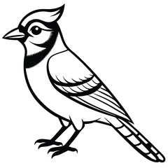 Fototapeta premium Blue Jay illustration flat vector design