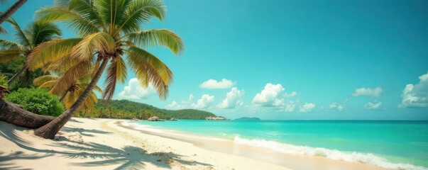 Vintage toned film distressed photography of a beach with swaying palm trees under clear blue sky,  film,  distressed