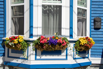 A bright blue vintage wooden building with a bay window. There's a narrow black metal mailbox or post box, three window flower boxes filled with colorful flowers, white curtains, and white trim.