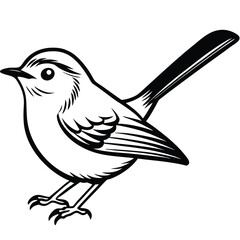 Fototapeta premium Blue-gray Gnatcatcher illustration flat vector design