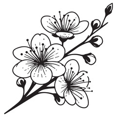 black and white flower vector