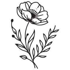 black and white flower vector