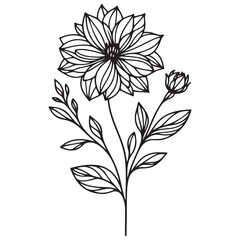 black and white flower vector