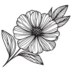 black and white flower vector