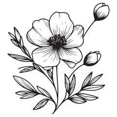 black and white flower vector