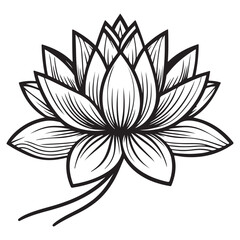 black and white flower vector