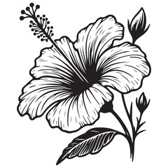 black and white flower vector